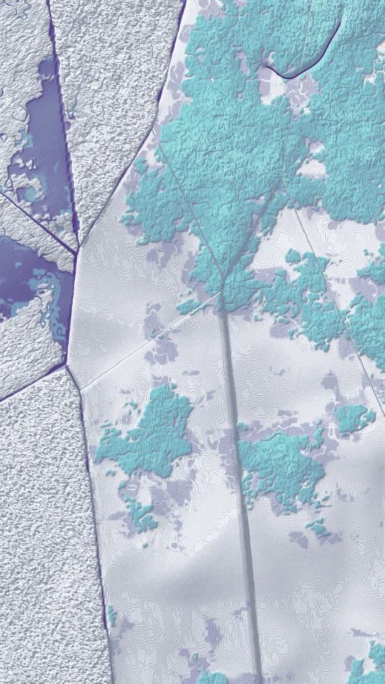 AFTERFIELD #11, Canopy, Albedo