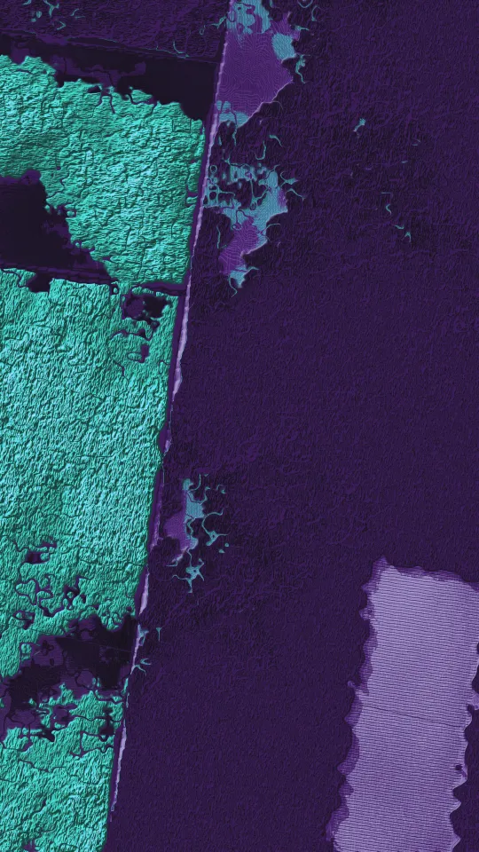 AFTERFIELD #15, Canopy, Spectral Return